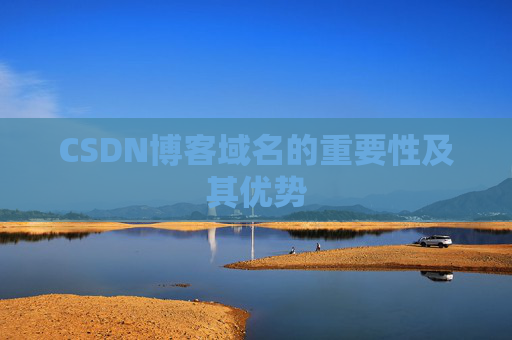 CSDN博客域名的重要性及其优势